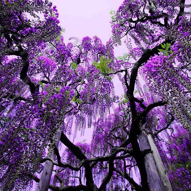 PR в туризме ИНТУРИСТ