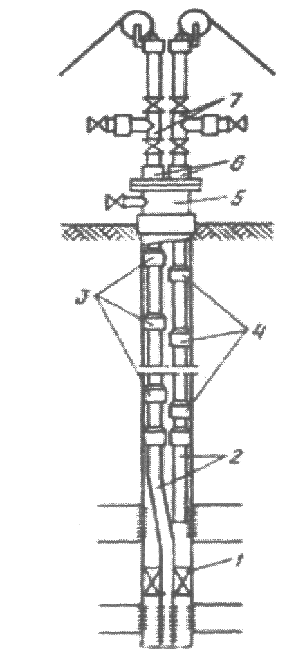 Учебная практика «Нефтегазовое дело» для УГНТУ